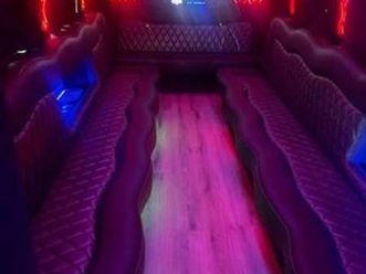 ford e-450 party bus limo, limousine gasoline