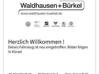 tiguan 2.0 tdi r-line 4motion iq-light+ harman