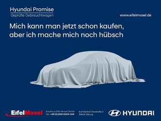 hyundai kona elektro prime sitz-komfort ledersitze assis