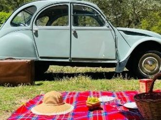 2cv6-azka-vert clair-carte grise de collection