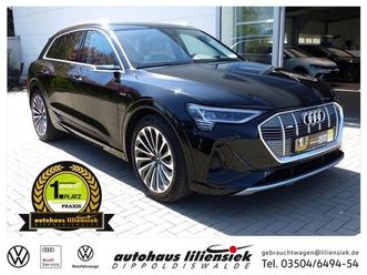 audi e-tron 55 quattro 300 kw s-line *led*pdc*b&o*