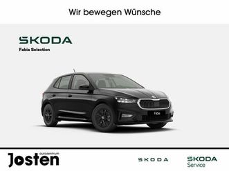 skoda fabia selection 1.0tsi parken licht&sicht winter