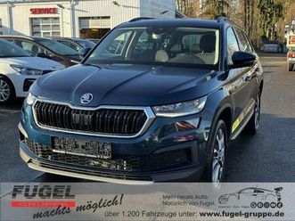 skoda kodiaq 2.0 tdi dsg tour 4x4 matrix|standhzg.|ahk