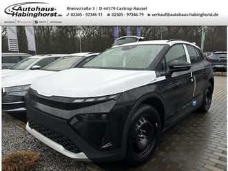 skoda elroq 50-55 kwh matrix, kessy, acc dab shz