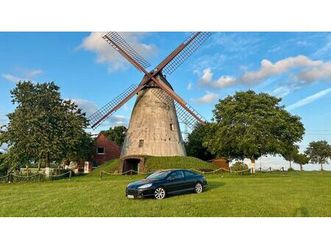 peugeot 407 coupe platinum