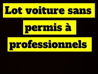 lot voiture sans permis