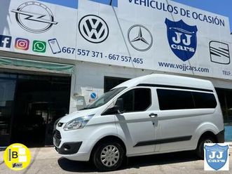 ft 250 l1 van ambiente 100