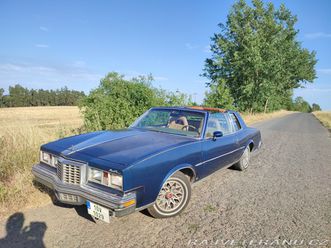 pontiac grand prix targa lj 1979