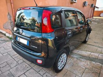 fiat panda 1.0 firefly s&s hybrid incidentata