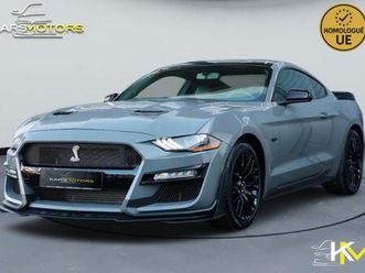 2.3 ecoboost 310 look gt500