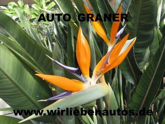 volkswagen amarok trendline doublecab 4motion 17