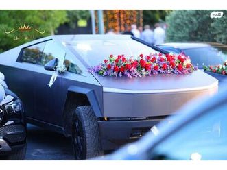 cyberbeast חשמלי אוט׳ (845 כ״ס)