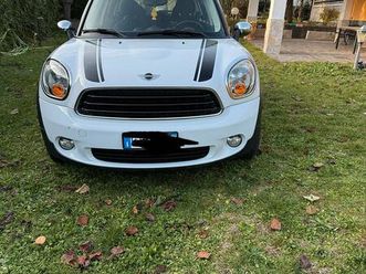 mini countryman benzina