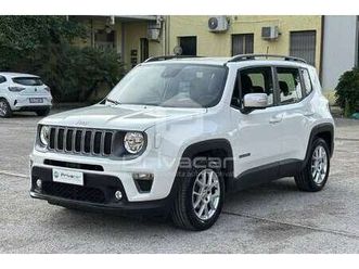 renegade 1.0 t3 limited