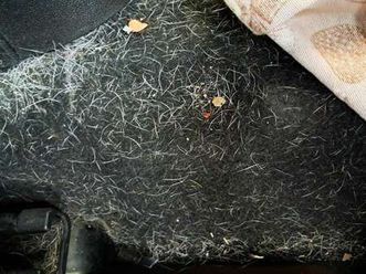 1.6 mjt emotion 120cv fl