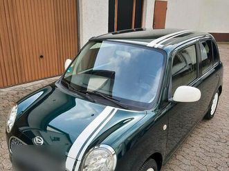 trevis-im-mini-look-hu-12-27