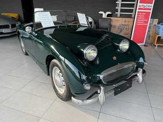 austin healey sprite frogeye