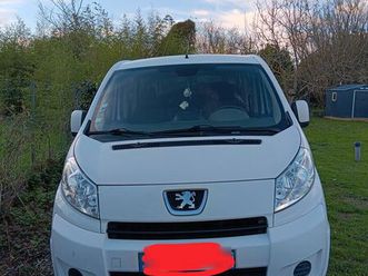 peugeot expert tepee