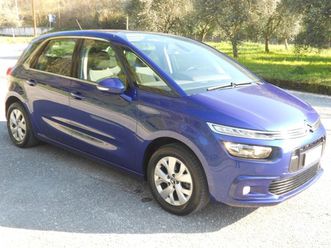 c4 picasso bluehdi 100 s&amp;s business