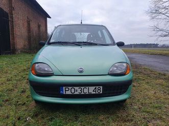 fiat seicento fun tulce • olx.pl