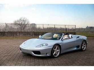 spider rarissimo esemplare