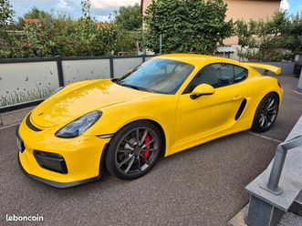 porsche cayman 981 gt4