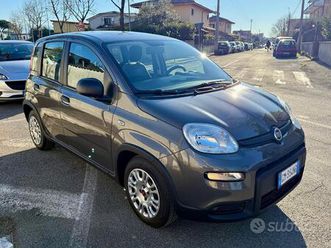 pando 1.0 firefly hybrid