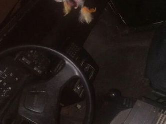 mille 1.0/ i.e./ electronic/ brio