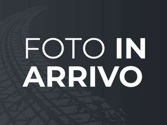 310 2.0 tdci 130cv trend l2h1 e6