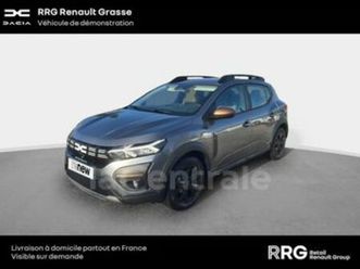 iii stepway 1.0 eco-g extreme 100