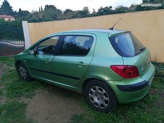 peugeot 307 1,6l 16v 110ch