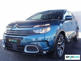 bluehdi 96kw (130cv) s&s eat8 shine