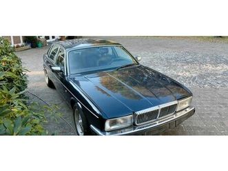 jaguar daimler xj 81 v12 lang
