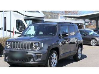 renegade mild hybrid/rü-kam/sitzheiz./navi/temp.