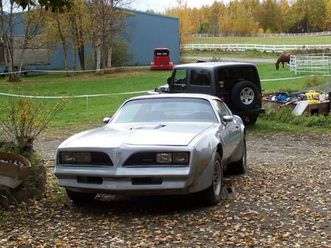 pontiac-trans-am