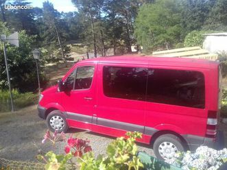 mercedes sprinter adapté handicape