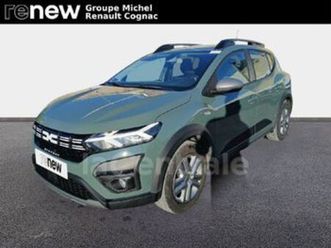 iii stepway 1.0 eco-g 100 expression