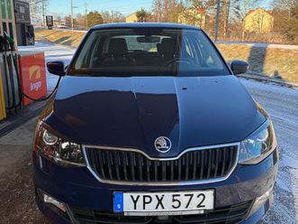 1.0 tsi dsg sekventiell