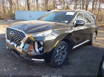 hyundai palisade calligraphy