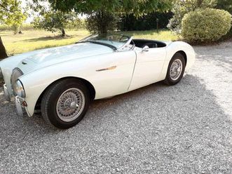 austin healey 100/4 bn 1