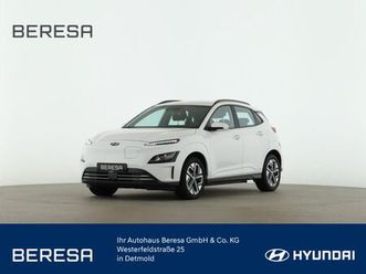 hyundai kona elektro select-paket tv distronic kamera
