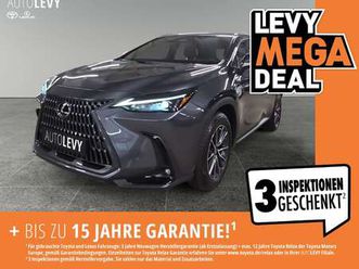 nx-450-h-plug-in-leder-carplay-kamera-shz