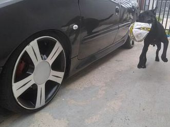 selection/ sensation 1.0 16v 5p