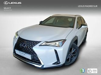 lexus ux business