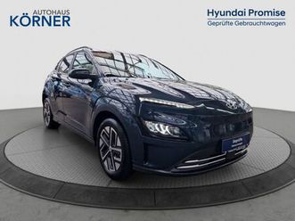 hyundai kona elektro trend (100kw) *krell*led*navi*carpl