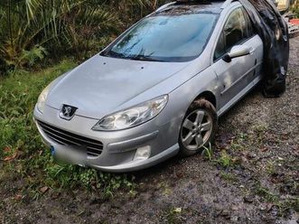 vends 407 sw toute option break