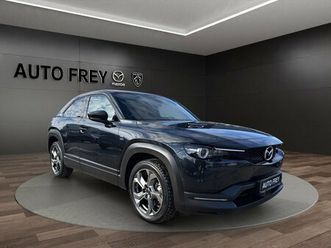 35,5 kwh 145ps advantage iv acaa+allwetterreifen+kamera+klima+sitzheizung+led+