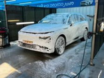 חשמלי אוט׳ (313 כ״ס)