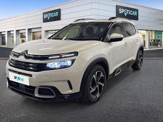 bluehdi 130 s&s eat8 shine