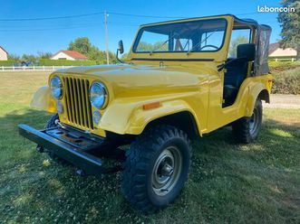 jeep cj5 v8 304 originale